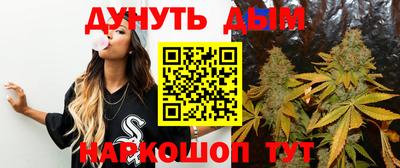 спиды Славгород