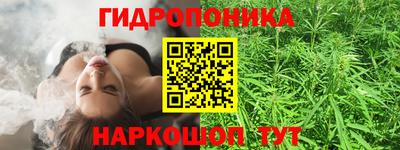 спиды Славгород