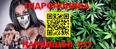спиды Славгород