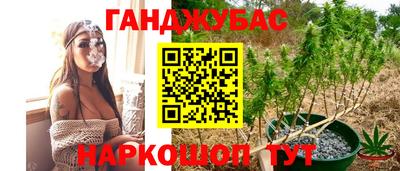спиды Славгород